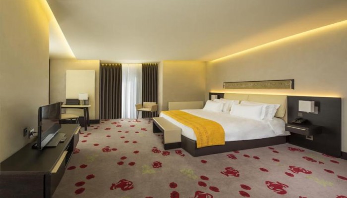 Hotel Berds Design poza 3